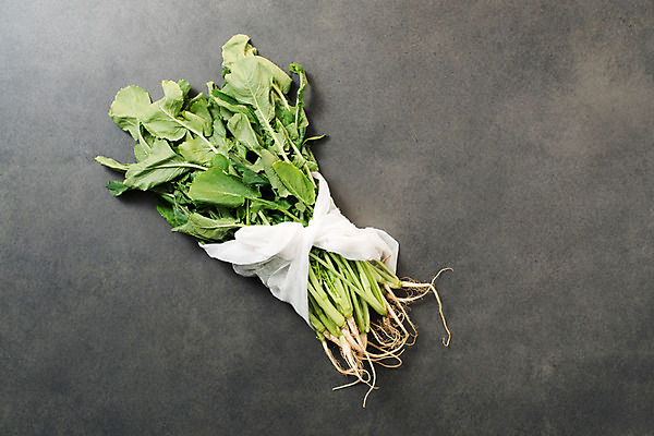 포토 JPG 스튜디오촬영 채소 실내 사람없음 하이앵글 신선 천 유기농 열무 플랫레이 국내포토 웰빙 뷰포인트 내부 직물 플랫 무 파일형식