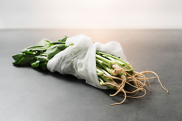 포토 JPG 스튜디오촬영 채소 실내 사람없음 신선 천 유기농 열무 국내포토 웰빙 내부 직물 무 파일형식