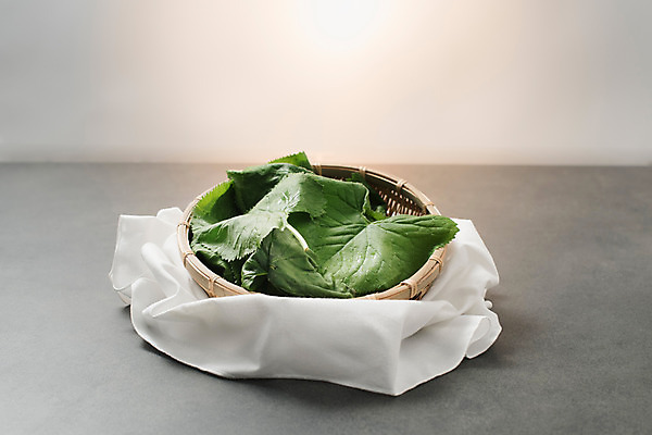 포토 JPG 스튜디오촬영 채소 실내 사람없음 소쿠리 신선 천 유기농 곰취 산나물 국내포토 웰빙 내부 바구니 직물 나물 파일형식