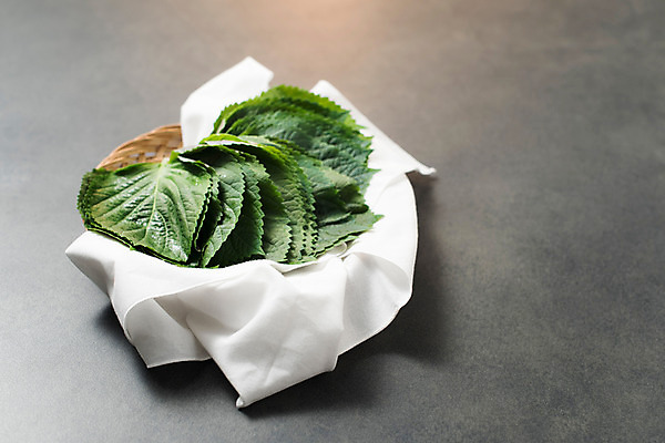 포토 JPG 스튜디오촬영 채소 실내 사람없음 소쿠리 신선 천 유기농 깻잎 국내포토 웰빙 내부 바구니 직물 파일형식