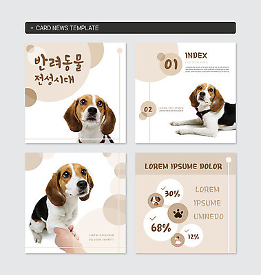 PSD 템플릿 손 웹템플릿 세마리 신체부위 세트 닥스훈트 개발바닥 반려 카드뉴스 정방형 이미지템플릿 3 사람 개 발바닥 파일형식