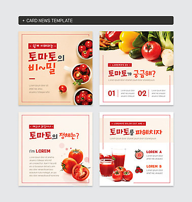 PSD 템플릿 웹템플릿 토마토 채소 방울토마토 파프리카 사람없음 세트 비밀 토마토주스 카드뉴스 정방형 이미지템플릿 컨셉 야채주스 파일형식