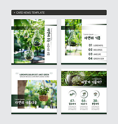 PSD 식물 템플릿 화분 웹템플릿 전구 자연 사람없음 세트 환경 카드뉴스 정방형 이미지템플릿 생태계 파일형식
