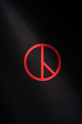 포토 JPG 스튜디오촬영 실내 근접촬영 사람없음 검은색 투표 선거 사회이슈 오브젝트 투표용지 기표문양 국내포토 문양 뷰포인트 컬러 컨셉 내부 민주주의 파일형식