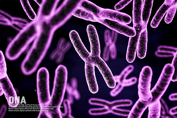 PSD 편집이미지 세포 사람없음 3D소스 3D DNA 생명공학 디지털합성 염색체 이미지편집 편집3D 의학 파일형식
