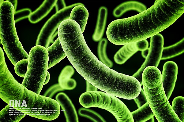 PSD 편집이미지 세포 사람없음 3D소스 3D DNA 생명공학 디지털합성 염색체 이미지편집 편집3D 의학 파일형식