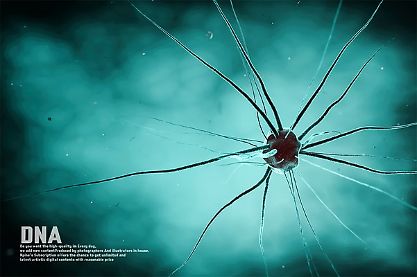 PSD 편집이미지 세포 사람없음 3D소스 3D DNA 생명공학 디지털합성 신경세포 이미지편집 편집3D 의학 파일형식