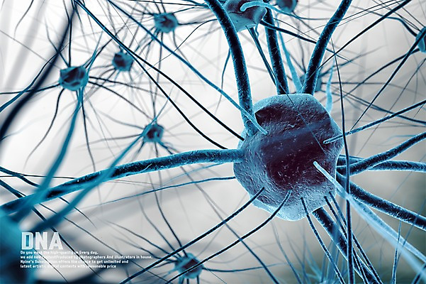 PSD 편집이미지 세포 사람없음 3D소스 3D DNA 생명공학 디지털합성 신경세포 이미지편집 편집3D 의학 파일형식