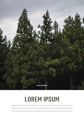 나무 템플릿 표지 자연 하늘 사람없음 숲 프레젠테이션 문서템플릿 서식 레이아웃 문서 제안서 이미지템플릿 AI파일 식물 생태계 파일형식 벡터