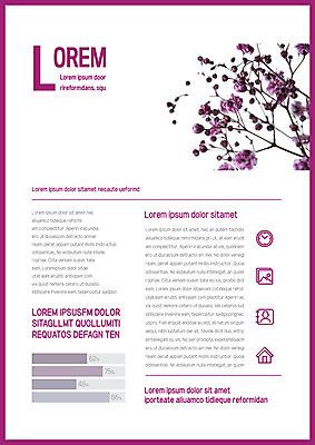 템플릿 내지 사람없음 앨범 프레젠테이션 막대그래프 문서템플릿 서식 레이아웃 문서 제안서 안개꽃 드라이플라워 이미지템플릿 AI파일 꽃 그래프 한해살이풀 파일형식 벡터