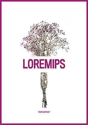 템플릿 표지 사람없음 프레젠테이션 문서템플릿 서식 레이아웃 문서 제안서 안개꽃 드라이플라워 이미지템플릿 AI파일 꽃 한해살이풀 파일형식 벡터