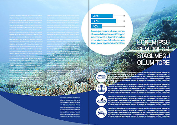 템플릿 편집 표지디자인 북디자인 출판디자인 내지 리플렛 백그라운드 북커버 그래프 팜플렛 사람없음 바닷속 파라솔 스노클링 산호 산호초 모터보트 선박 이미지템플릿 AI파일 수상교통 배_교통 수중 수상스포츠 수중식물 자포동물 파일형식 벡터