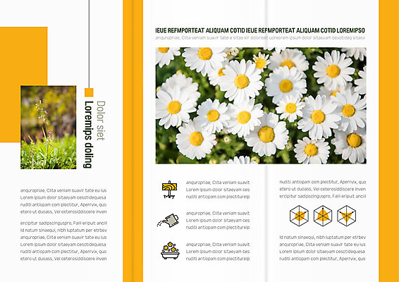 도형 템플릿 편집 표지디자인 북디자인 출판디자인 내지 화분 리플렛 백그라운드 북커버 3단접지 팜플렛 사람없음 팻말 물뿌리개 풀잎 육각형 들국화 심기 이미지템플릿 AI파일 꽃 잎 모션 프레임 풀_식물 파일형식 벡터