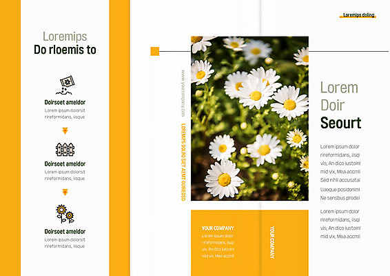 주간 템플릿 편집 표지디자인 북디자인 출판디자인 표지 리플렛 백그라운드 북커버 3단접지 팜플렛 사람없음 야외 울타리 꽃씨 들국화 이미지템플릿 AI파일 자연요소 꽃 담장 파일형식 벡터