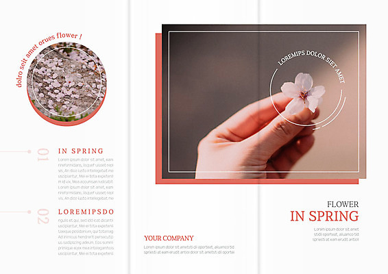 템플릿 편집 표지디자인 북디자인 손 출판디자인 표지 꽃잎 리플렛 백그라운드 북커버 3단접지 한명 사람 팜플렛 성인 신체부위 봄 벚꽃 이미지템플릿 AI파일 1 계절 꽃 파일형식 벡터