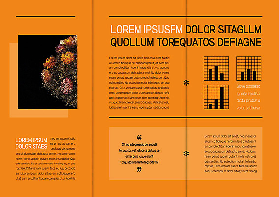 템플릿 편집 표지디자인 북디자인 출판디자인 꽃 내지 리플렛 백그라운드 북커버 3단접지 그래프 팜플렛 사람없음 주황색 이미지템플릿 AI파일 식물 컬러 파일형식 벡터
