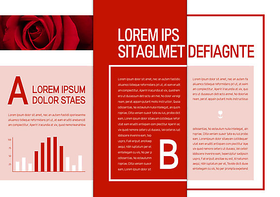 템플릿 편집 표지디자인 북디자인 출판디자인 내지 리플렛 백그라운드 한송이 북커버 3단접지 팜플렛 사람없음 장미 막대그래프 이미지템플릿 AI파일 1 꽃 그래프 송이 파일형식 벡터