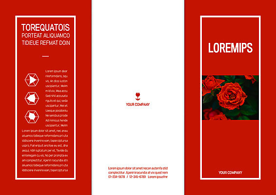 템플릿 편집 표지디자인 북디자인 출판디자인 표지 리플렛 여러송이 백그라운드 북커버 3단접지 팜플렛 사람없음 빨간색 장미 육각형 이미지템플릿 AI파일 도형 꽃 컬러 다수 파일형식 벡터