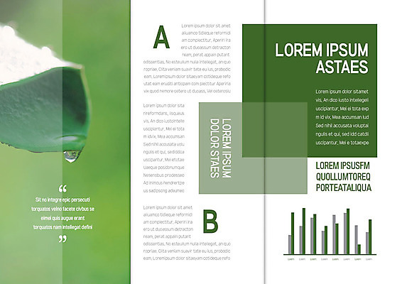 템플릿 편집 표지디자인 북디자인 출판디자인 내지 리플렛 백그라운드 잎 북커버 3단접지 그래프 팜플렛 사람없음 초록색 물방울 이슬 이미지템플릿 AI파일 식물 컬러 파일형식 벡터