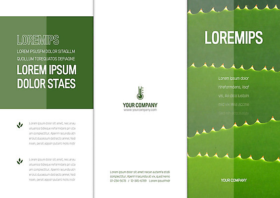 템플릿 편집 표지디자인 북디자인 출판디자인 표지 리플렛 백그라운드 북커버 3단접지 팜플렛 사람없음 풀잎 온도계 체온계 선인장가시 이미지템플릿 AI파일 잎 풀_식물 파일형식 벡터