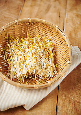 포토 JPG 스튜디오촬영 식재료 실내 근접촬영 사람없음 소쿠리 새싹 신선 메밀싹 국내포토 식물 뷰포인트 내부 바구니 파일형식