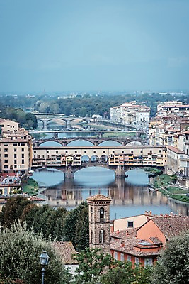 포토 JPG 주간 나무 해외풍경 해외 유럽 유럽풍경 하늘 주택 풍경 사람없음 야외 건물 강 이탈리아 피렌체 가교 국내포토 자연요소 식물 건축물 나라 파일형식