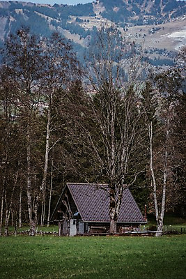 포토 JPG 주간 나무 해외풍경 해외 유럽 유럽풍경 자연 산 주택 풍경 사람없음 야외 건물 통나무집 스위스 국내포토 자연요소 식물 건축물 나라 생태계 파일형식