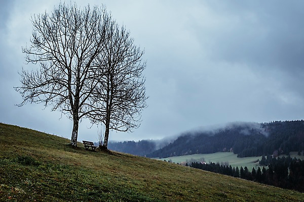 포토 JPG 주간 나무 해외풍경 해외 유럽 겨울 벤치 유럽풍경 자연 하늘 풍경 사람없음 야외 프랑스 안개 언덕 겨울풍경 국내포토 자연요소 식물 계절 나라 의자 날씨 생태계 파일형식