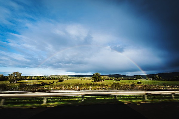 포토 JPG 주간 나무 구름 해외풍경 해외 유럽 무지개 유럽풍경 자연 하늘 풍경 초원 사람없음 야외 프랑스 국내포토 자연요소 식물 나라 생태계 파일형식