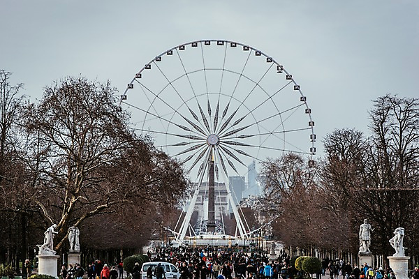 포토 JPG 주간 나무 해외풍경 해외 유럽 겨울 유럽풍경 사람 풍경 여러명 성인 야외 건물 동상 여행객 프랑스 보행자 대관람차 파리_프랑스 겨울풍경 국내포토 자연요소 식물 건축물 계절 나라 다수 조형물 놀이기구 기념물 파일형식
