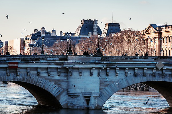 포토 JPG 주간 나무 해외풍경 해외 유럽 유럽풍경 조류 풍경 사람없음 야외 건물 강 프랑스 파리_프랑스 퐁네프 가교 국내포토 자연요소 식물 동물 건축물 나라 다리_건축물 파일형식