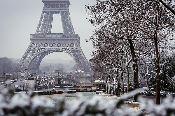 포토 JPG 주간 나무 해외풍경 해외 유럽 겨울 유럽풍경 풍경 사람없음 야외 건물 아웃포커스 프랑스 눈 에펠탑 파리_프랑스 랜드마크 폭설 겨울풍경 국내포토 자연요소 식물 건축물 계절 나라 날씨 눈_날씨 촬영기법 자연재해 파리 파일형식
