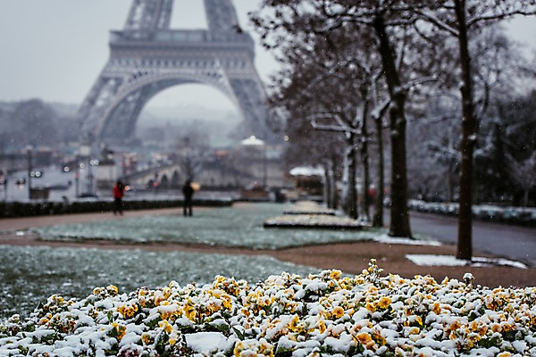 포토 JPG 주간 나무 해외풍경 해외 꽃 유럽 겨울 유럽풍경 풍경 사람없음 야외 건물 아웃포커스 프랑스 눈 에펠탑 파리_프랑스 랜드마크 폭설 겨울풍경 국내포토 자연요소 식물 건축물 계절 나라 날씨 눈_날씨 촬영기법 자연재해 파리 파일형식