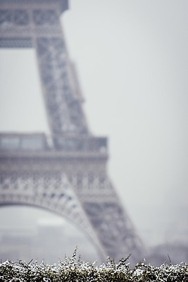 포토 JPG 주간 나무 해외풍경 해외 유럽 겨울 유럽풍경 풍경 사람없음 야외 건물 아웃포커스 프랑스 눈 에펠탑 파리_프랑스 랜드마크 겨울풍경 국내포토 자연요소 식물 건축물 계절 나라 날씨 촬영기법 파리 파일형식
