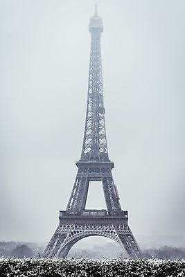포토 JPG 주간 나무 해외풍경 해외 유럽 겨울 유럽풍경 풍경 사람없음 야외 건물 프랑스 눈 에펠탑 파리_프랑스 랜드마크 겨울풍경 국내포토 자연요소 식물 건축물 계절 나라 날씨 파리 파일형식