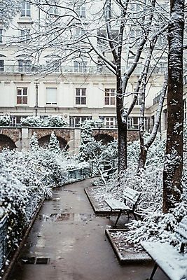 포토 JPG 주간 나무 해외풍경 해외 유럽 길 겨울 벤치 유럽풍경 거리 풍경 사람없음 야외 건물 프랑스 눈 도시 파리_프랑스 겨울풍경 국내포토 자연요소 식물 건축물 계절 나라 의자 날씨 파일형식