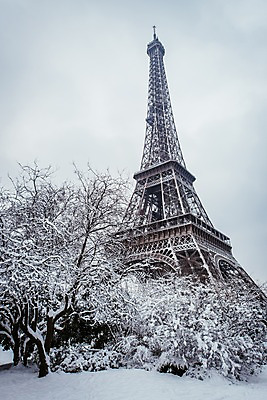 포토 JPG 주간 나무 해외풍경 해외 유럽 겨울 유럽풍경 풍경 사람없음 야외 건물 프랑스 눈 에펠탑 파리_프랑스 랜드마크 겨울풍경 국내포토 자연요소 식물 건축물 계절 나라 날씨 파리 파일형식