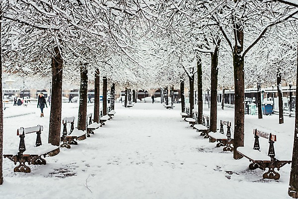포토 JPG 주간 나무 해외풍경 해외 유럽 길 겨울 벤치 유럽풍경 거리 풍경 사람없음 야외 건물 원근감 프랑스 눈 도시 파리_프랑스 겨울풍경 국내포토 자연요소 식물 건축물 계절 나라 뷰포인트 의자 날씨 파일형식