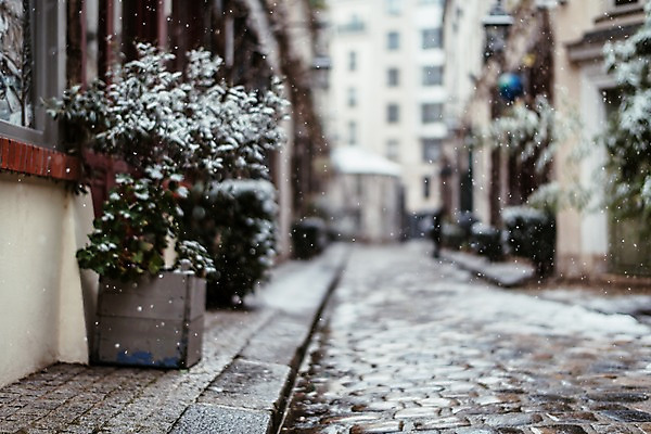 포토 JPG 주간 나무 해외풍경 해외 유럽 화분 길 겨울 유럽풍경 거리 풍경 사람없음 야외 건물 아웃포커스 프랑스 눈 도시 파리_프랑스 겨울풍경 국내포토 자연요소 식물 건축물 계절 나라 날씨 촬영기법 파일형식