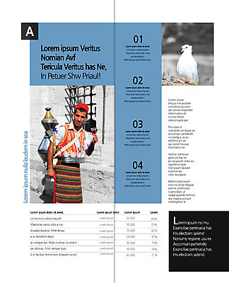 PSD 외국인 템플릿 한마리 표지디자인 북디자인 출판디자인 남자 내지 리플렛 2단접지 북커버 조류 한명 사람 팜플렛 상반신 성인 관광지 전통의상 성인남자한명만 이미지템플릿 동물 1 전통 여행 인종 남자한명만 성인남자만 파일형식