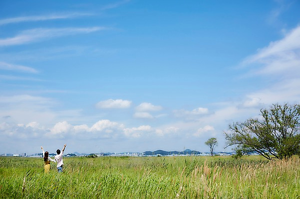 포토 JPG 주간 나무 구름 커플 여자 남자 행복 하늘 팔벌리기 서기 사람 상반신 20대 야외 두명 뒷모습 여름 손들기 맑음 다정 한국인 갈대밭 화성시 성인만 우음도 갈대습지 국내포토 자연요소 식물 계절 감정 뷰포인트 섬 컨셉 관계 모션 날씨 동양인 청년 습지 경기도 화성_경기도 파일형식 갈대_식물