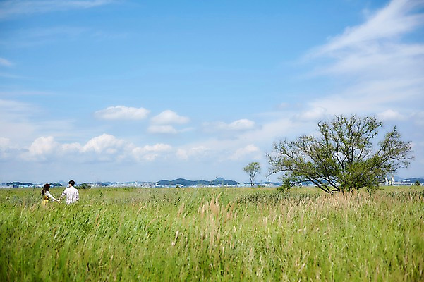 포토 JPG 주간 나무 구름 커플 여자 남자 행복 하늘 산 사람 상반신 20대 성인 야외 두명 뒷모습 여름 걷기 손잡기 맑음 다정 한국인 갈대밭 화성시 성인만 우음도 갈대습지 국내포토 자연요소 식물 계절 감정 뷰포인트 섬 컨셉 관계 모션 날씨 동양인 청년 습지 경기도 화성_경기도 파일형식 갈대_식물