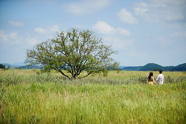 포토 JPG 주간 나무 구름 커플 응시 여자 남자 하늘 산 한그루 사람 상반신 20대 야외 두명 뒷모습 여름 걷기 손잡기 맑음 한국인 갈대밭 화성시 성인만 우음도 갈대습지 국내포토 자연요소 식물 1 시선 계절 뷰포인트 섬 관계 모션 날씨 동양인 청년 습지 경기도 화성_경기도 파일형식 갈대_식물