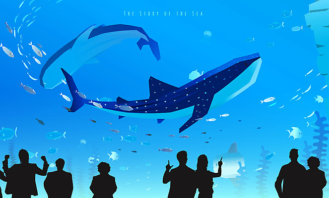 응시 실루엣 바다 두마리 여러마리 일러스트 어류 사람없음 바다동물 산호초 고래 구경 수족관 관람 아쿠아리움 국내일러스트 AI파일 동물 시선 다수 2 포유류 촬영기법 수중동물 수중식물 파일형식 벡터