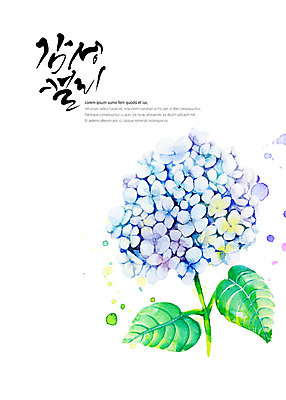 PSD 백그라운드 일러스트 캘리그라피 붓터치 수채화 글자캘리그라피 사람없음 번짐 감성 수국 국내일러스트 꽃 컨셉 파일형식 효과