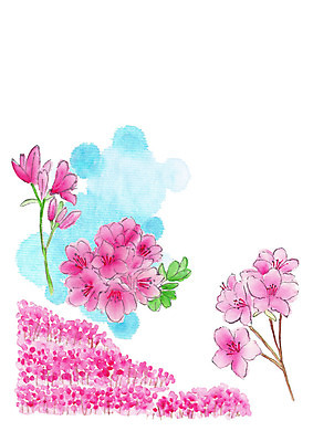 PSD 식물 분홍색 꽃밭 일러스트 붓터치 사람없음 진달래 번짐 국내일러스트 꽃 컬러 파일형식 효과