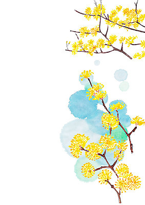 PSD 식물 꽃 일러스트 꽃나무 사람없음 노란색 나뭇가지 번짐 국내일러스트 나무 컬러 파일형식 효과