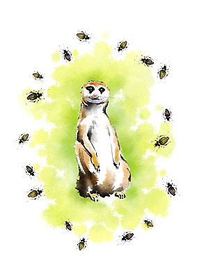 PSD 동물 한마리 여러마리 일러스트 캘리그라피 사람없음 딱정벌레 번짐 미어캣 국내일러스트 1 다수 곤충 파일형식 효과