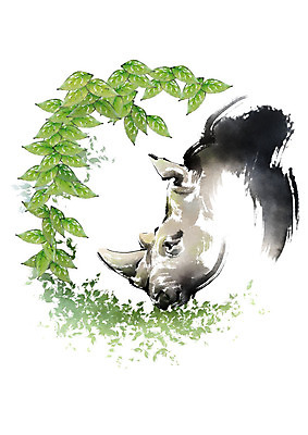 PSD 동물 한마리 얼굴 일러스트 캘리그라피 붓터치 나뭇잎 상반신 사람없음 풀 먹기 코뿔소 국내일러스트 식물 1 잎 포유류 모션 신체부위 파일형식