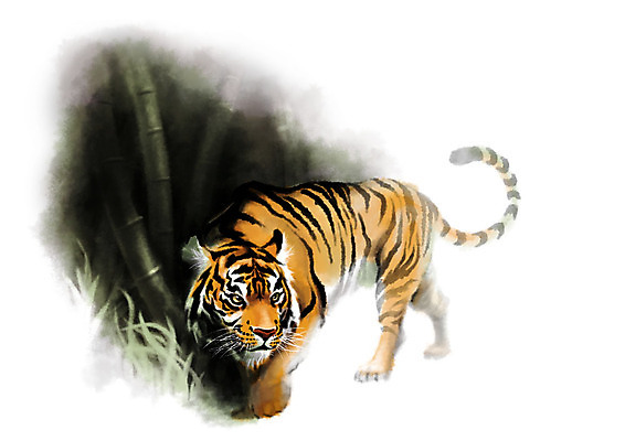 PSD 동물 한마리 응시 일러스트 캘리그라피 사람없음 호랑이 숲 대나무 번짐 국내일러스트 나무 1 시선 포유류 파일형식 효과